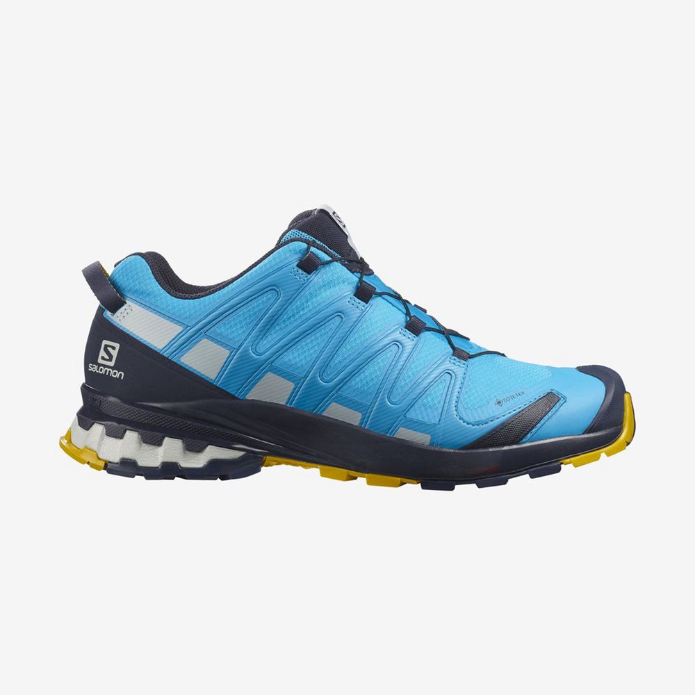 Buty Trekkingowe Męskie Salomon XA PRO 3D V8 GORE-TEX - Niebieskie - Polska (590-MVTUFI)